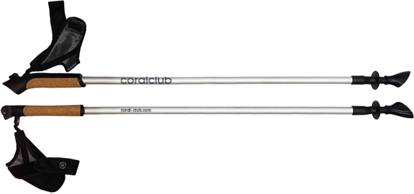 Nordic walking poles